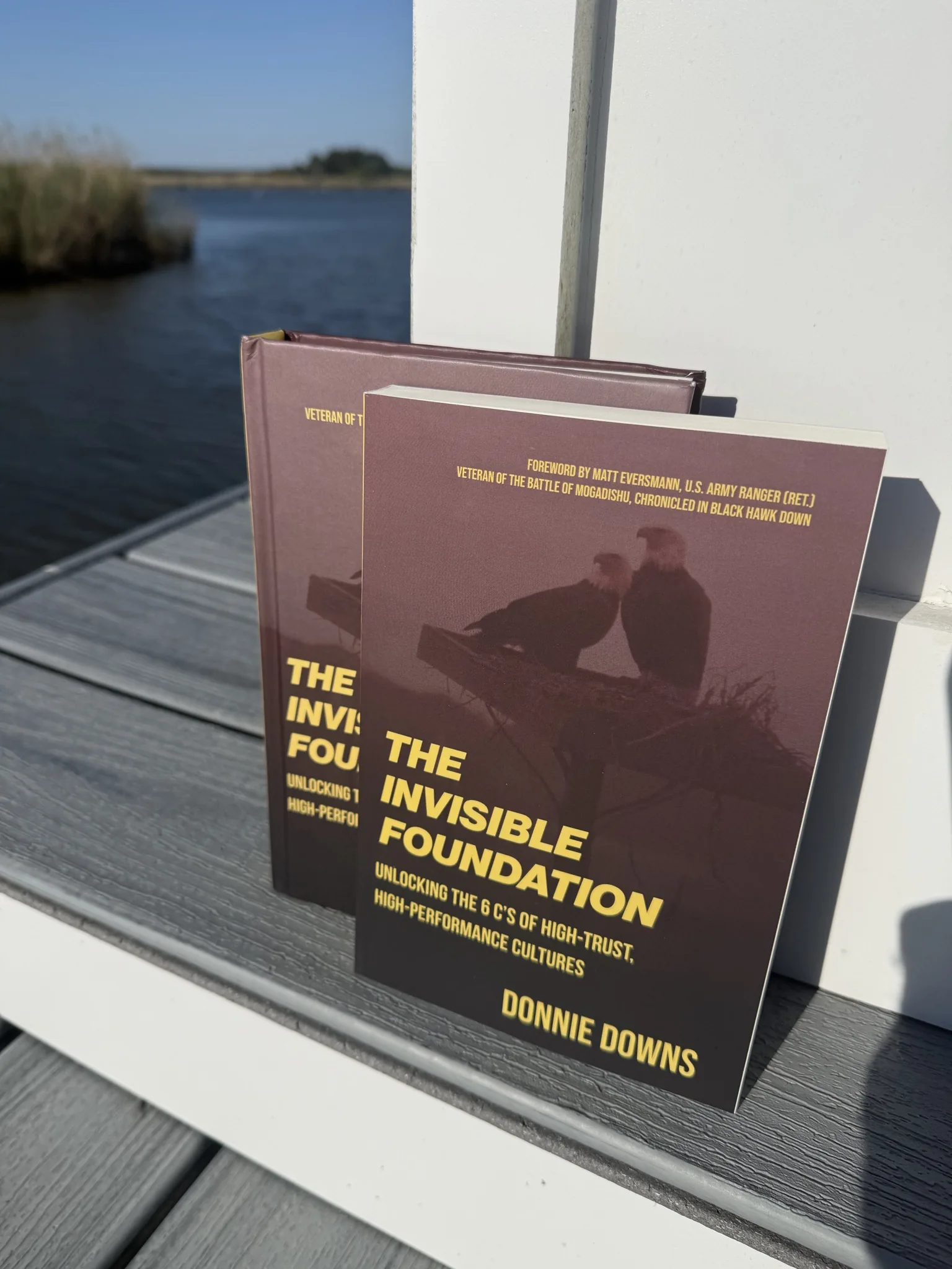 Physical copies of The Invisible Foundation by Donnie Downs on a table beside the water